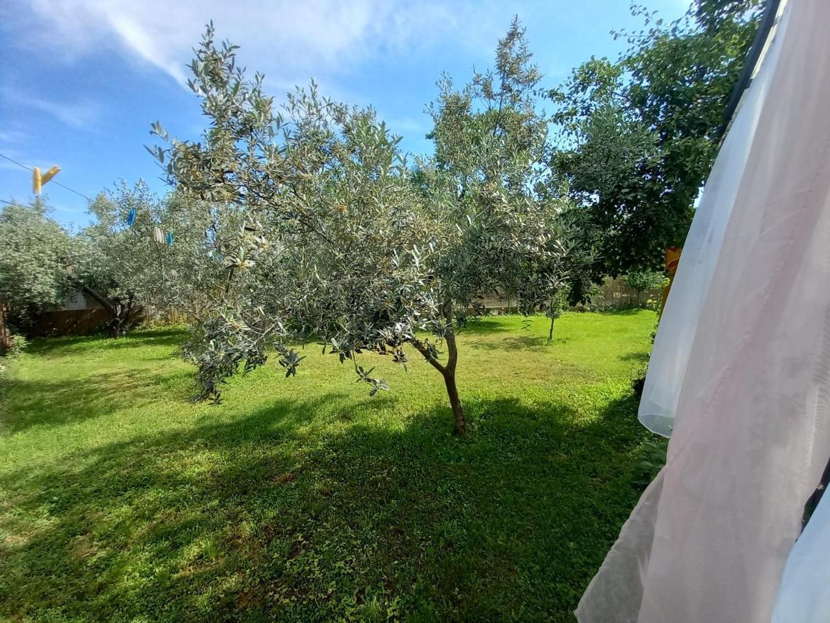 Holiday House Chill Out Loborika Marčana المظهر الخارجي الصورة